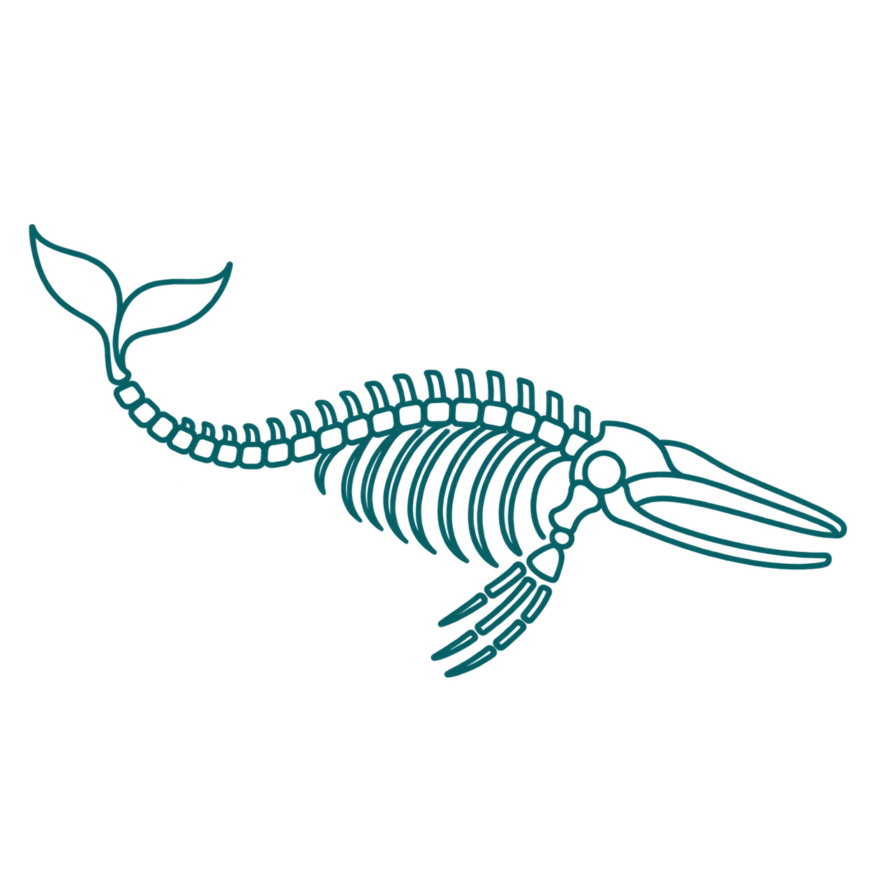 Illustration of a whale — the emblem of The Whale in the Attic